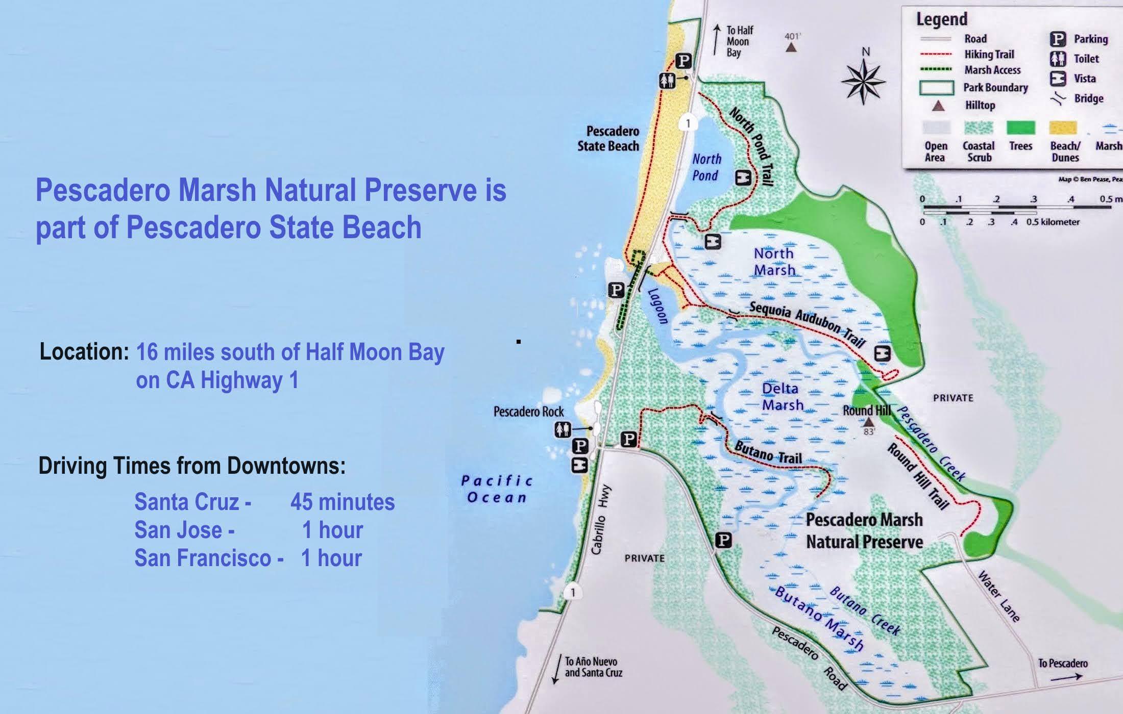 Tide Map for Pescadero Beach: Your Ultimate Guide to Exploring Coastal Wonders